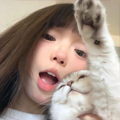 菲力兹九命猫